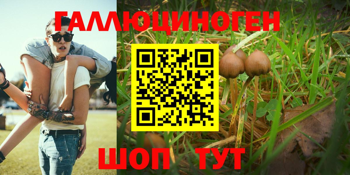 Галлюциногенные грибы Psilocybine cubensis  Галлюциногенные грибы Psilocybe  Вход с VPN  Дзержинский 